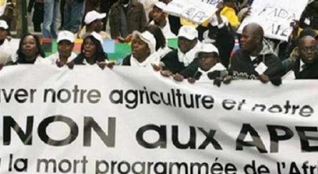 afrique-media-cameroun